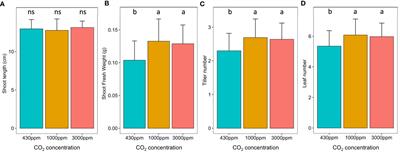Impact of high atmospheric carbon dioxide on the biotic stress response of the model cereal species Brachypodium distachyon